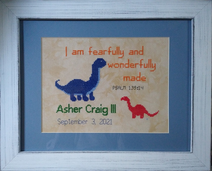 Ash framed xst